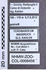 Etikette zu Athous (Orthathous) goriciensis syn og gonzalesi in Cate Cat. (Reitter, 1905) (NHMW-ZOO-COL-0008456)